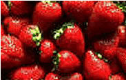 Erdbeeren